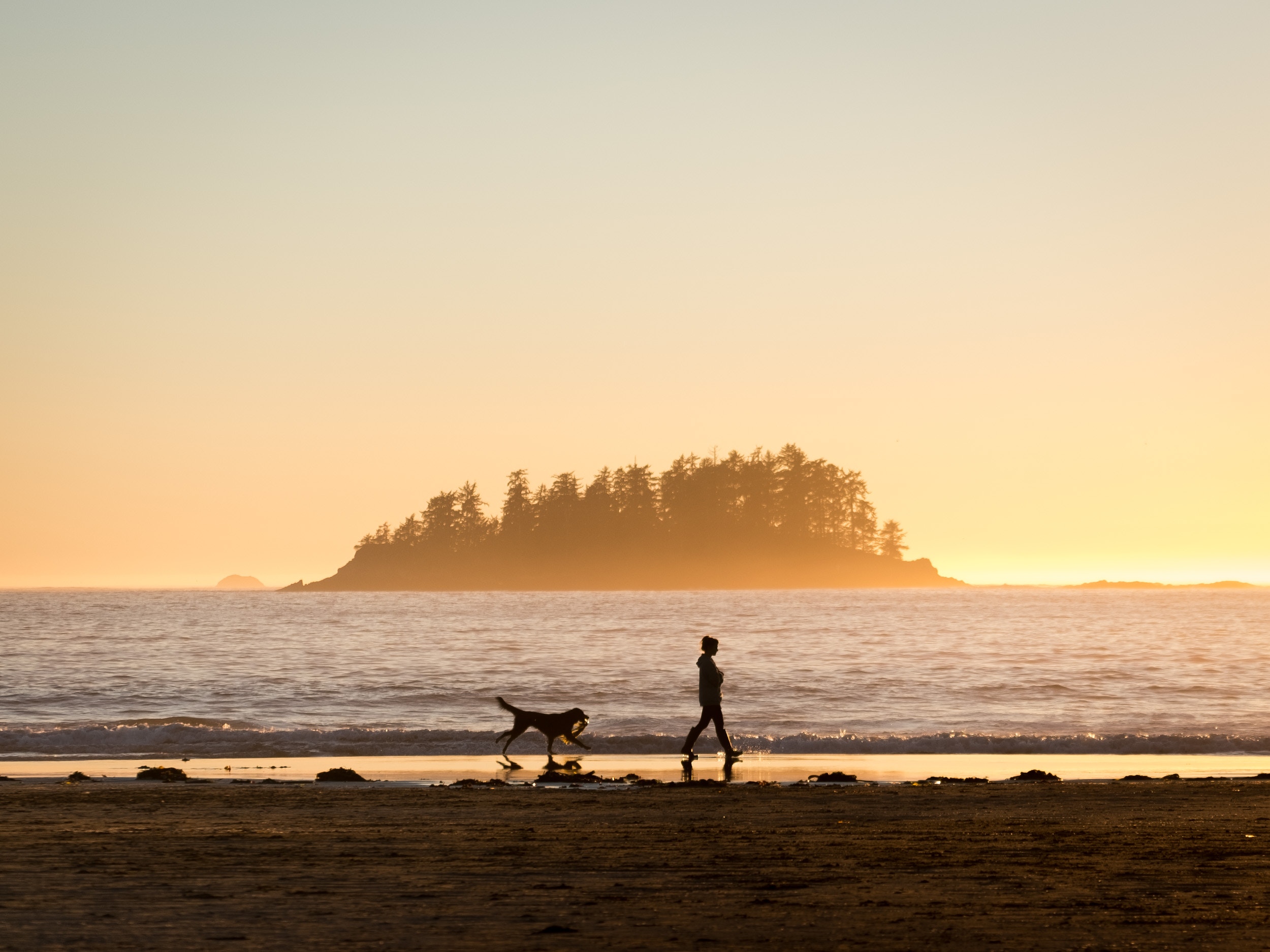 personal fulfillment_woman on beach walking dog